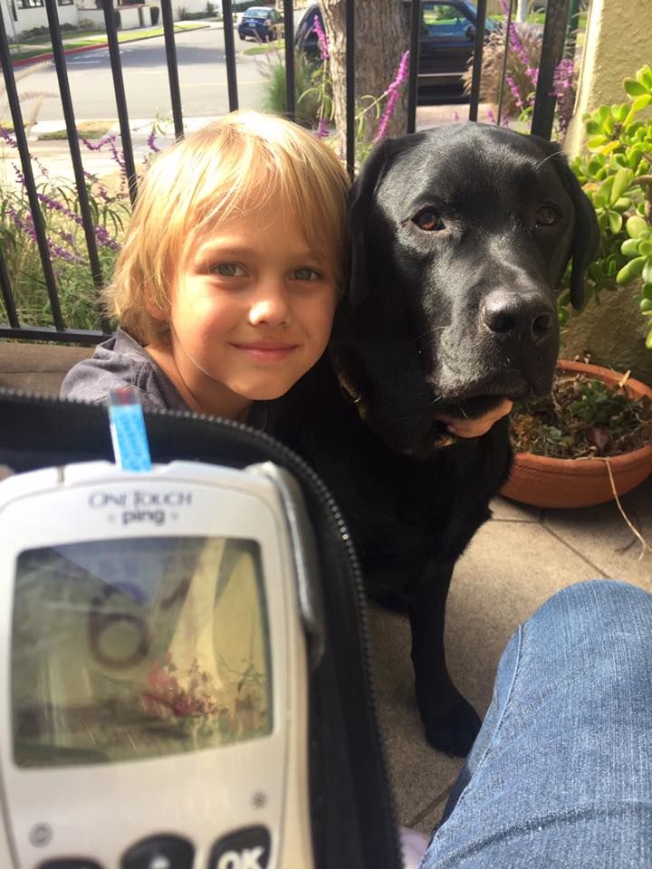 A Boy And The Dog That Saves His Life Everyday
