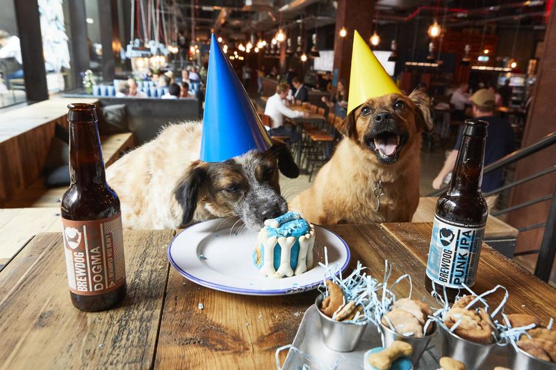 Brewery Offers Paid Paw-ternity Leave So Staff Can Bond With Their Dogs
