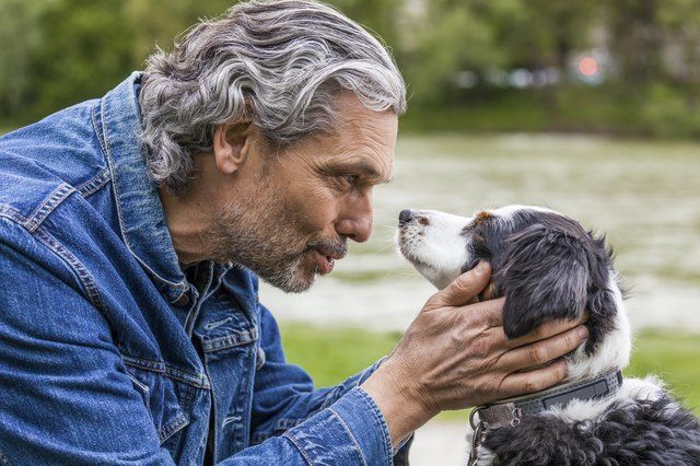 Here is Why You Should Keep Talking To Your Dog