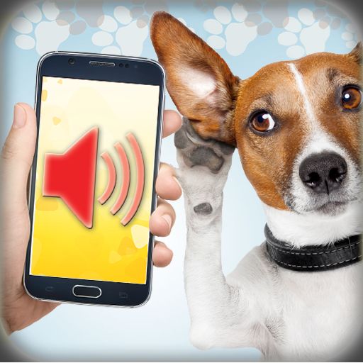 Now Theres An App For Your Dog
