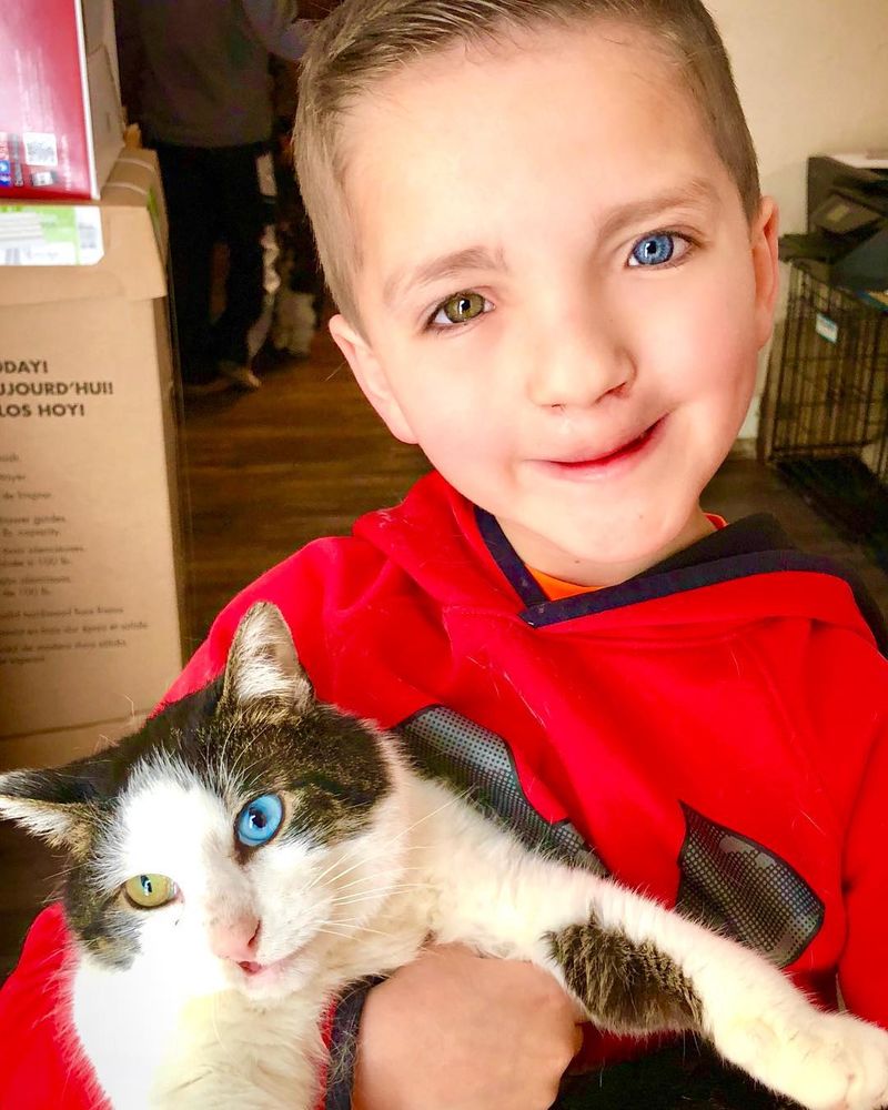 Boy Finds Best Friend in Cat with Same Rare Appearance